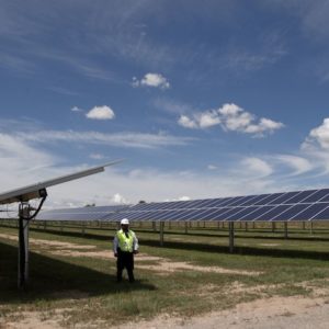 Con parques eólicos y solares, México apuesta por el petróleo. ¿Cuánto le da a la energía verde? Con parques eólicos y solares, México apuesta por el petróleo. ¿Cuánto le da a la energía verde?