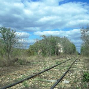 Tremendo riesgo de pérdida cultural e histórica con el Tren Maya: especialistas Tremendo riesgo de pérdida cultural e histórica con el Tren Maya: especialistas