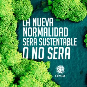 Al celebrar 27 años de existencia, CEMDA llama a una “nueva normalidad” sustentable con el medio ambiente