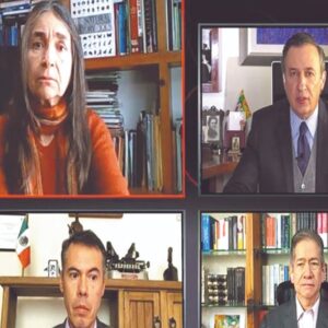 ‘Gobierno frenó las energías limpias, pese a crisis climática’; Carabias ‘Gobierno frenó las energías limpias, pese a crisis climática’; Carabias