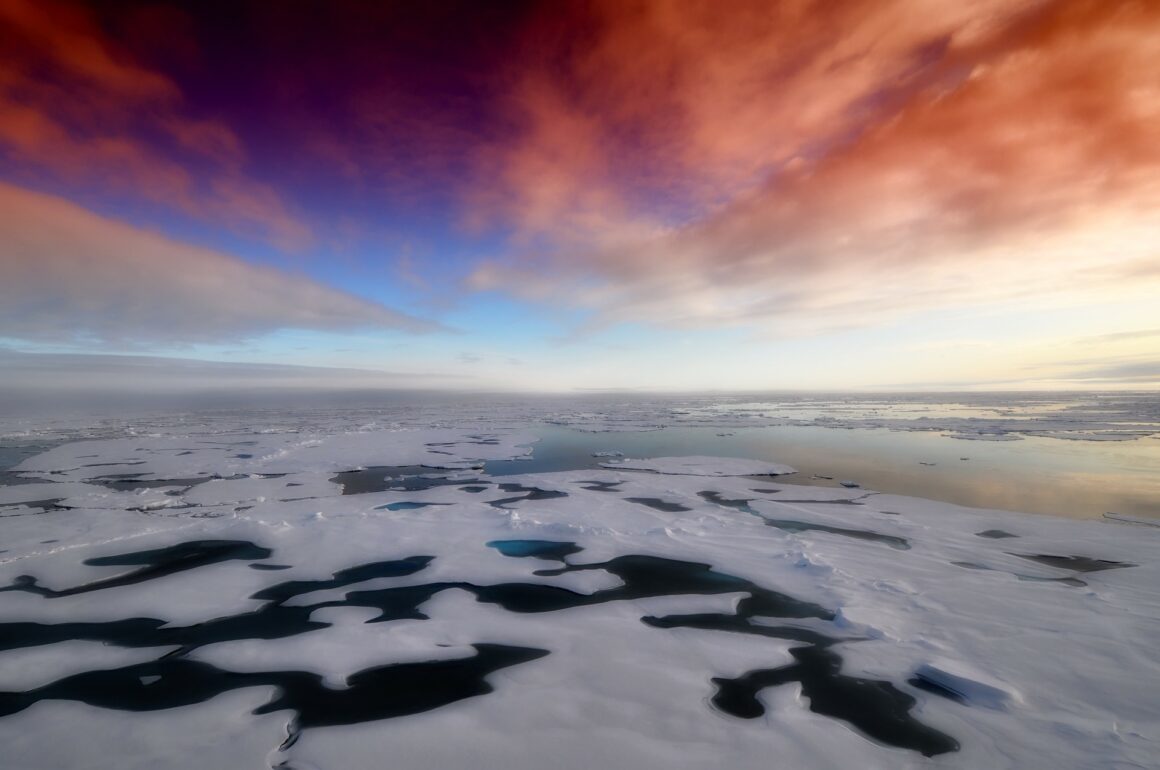 La banquisa del Ártico, en riesgo de desaparecer en verano, alertan