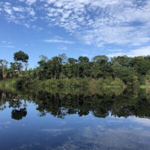 Organizaciones de 100 países piden a la ONU que reconozca el derecho a un planeta sano como un nuevo DDHH Organizaciones de 100 países piden a la ONU que reconozca el derecho a un planeta sano como un nuevo DDHH