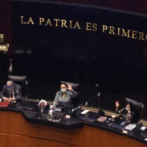 En maratónica sesión senadores eliminan fideicomisos, dictamen va al Ejecutivo En maratónica sesión senadores eliminan fideicomisos, dictamen va al Ejecutivo