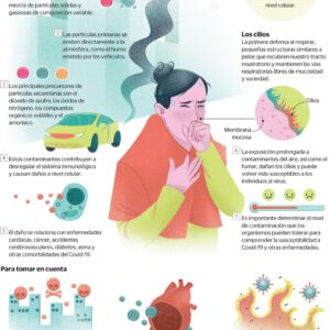 Pareja explosiva: COVID-19 y partículas contaminantes Pareja explosiva: COVID-19 y partículas contaminantes