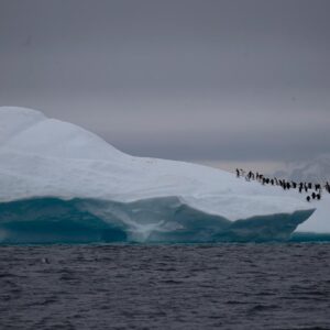 Fenómeno de ‘La Niña’ está ocurriendo una vez más: científicos Fenómeno de ‘La Niña’ está ocurriendo una vez más: científicos