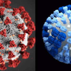 Contaminación es detonante de enfermedades respiratorias como Covid e Influenza en temporada invernal: Especialista Contaminación es detonante de enfermedades respiratorias como Covid e Influenza en temporada invernal: Especialista