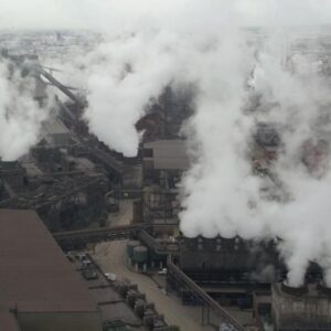 Sugieren reubicar plantas Sugieren reubicar plantas