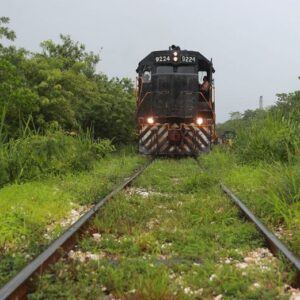 Jueza dicta suspensión definitiva del tramo dos del Tren Maya