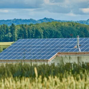 Paneles solares en casas y empresas ganan batalla en la electricidad Paneles solares en casas y empresas ganan batalla en la electricidad